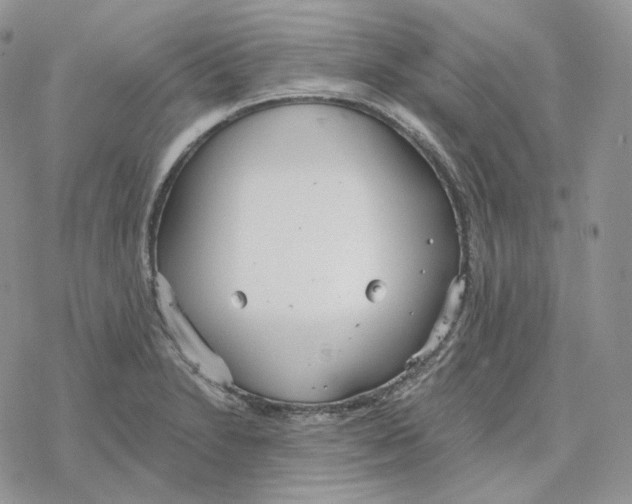 X0000078271230200611251345