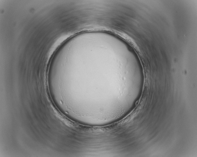 X0000078271231200611251345