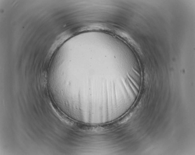 X0000078271233200611251345