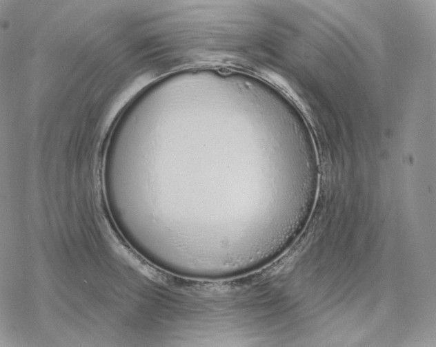 X0000078271235200611251345