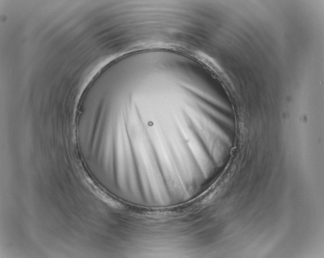 X0000078271236200611251345