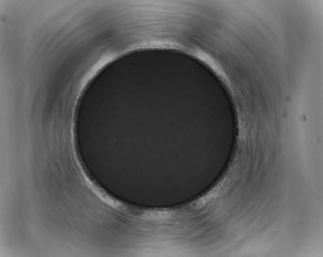 X0000078271237200611251345