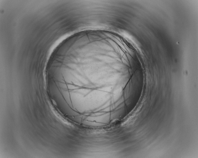 X0000078271238200611251345