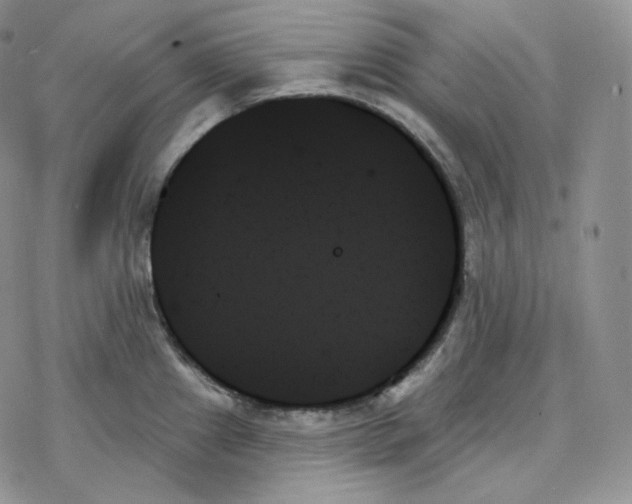 X0000078271241200611251345