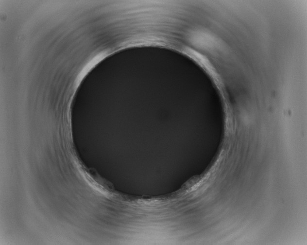 X0000078271242200611251345