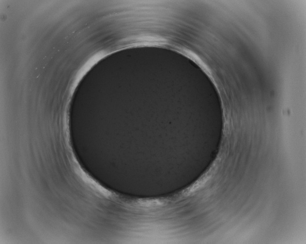 X0000078271243200611251345