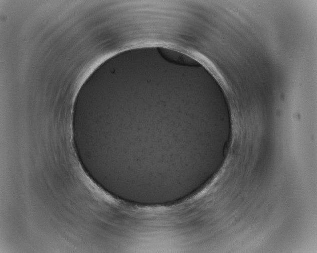 X0000078271244200611251345