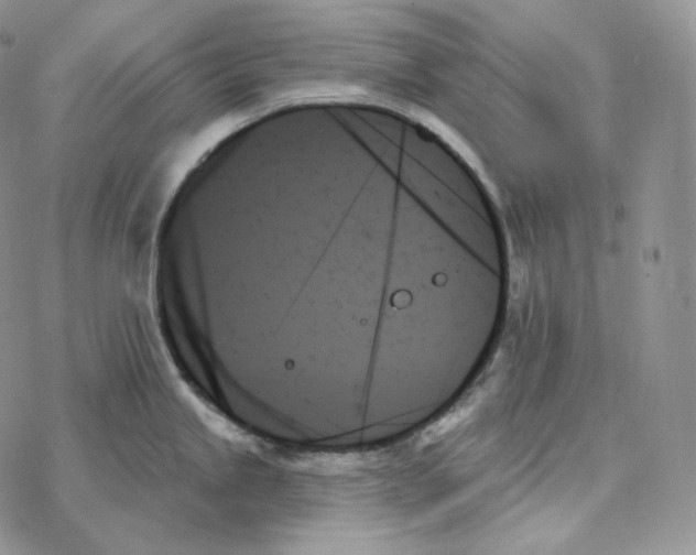 X0000078271245200611251345