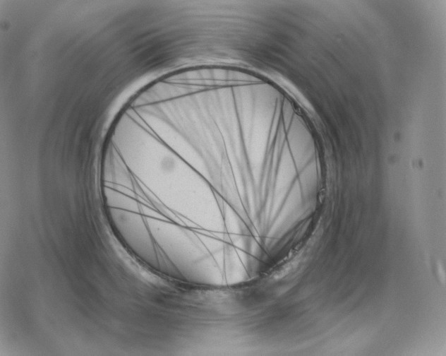 X0000078271246200611251345