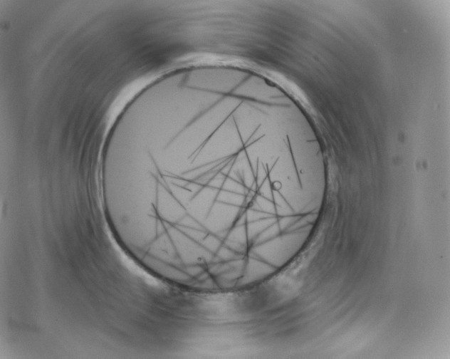 X0000078271247200611251345