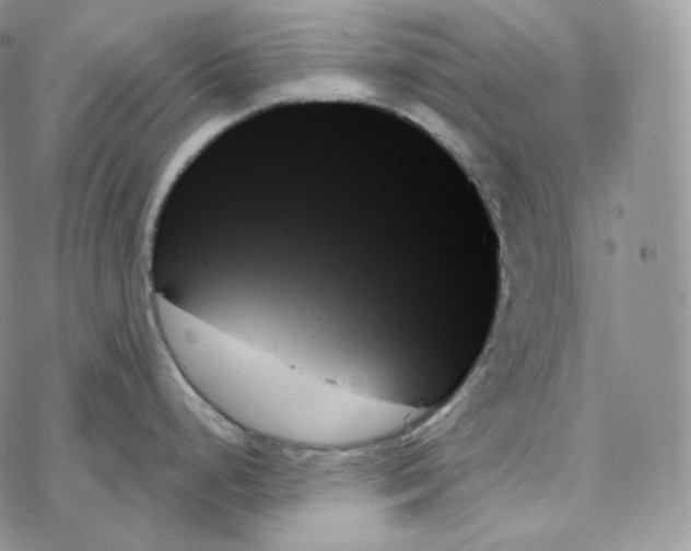 X0000078271248200611251345