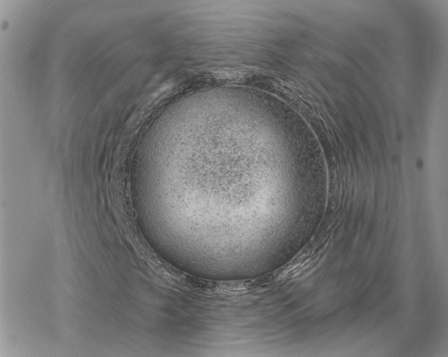 X0000078271249200611251345