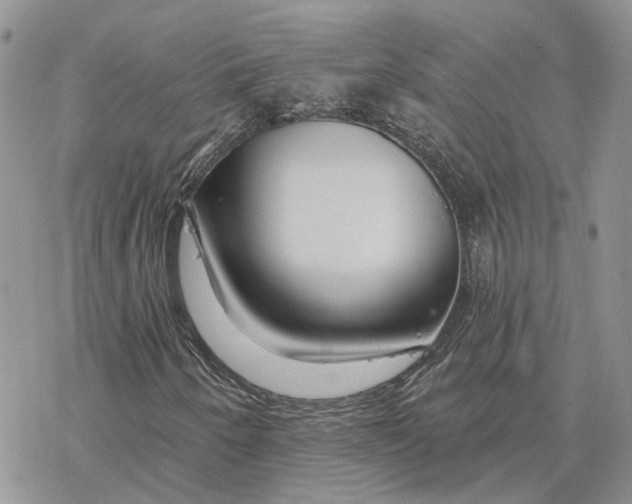 X0000078271250200611251345