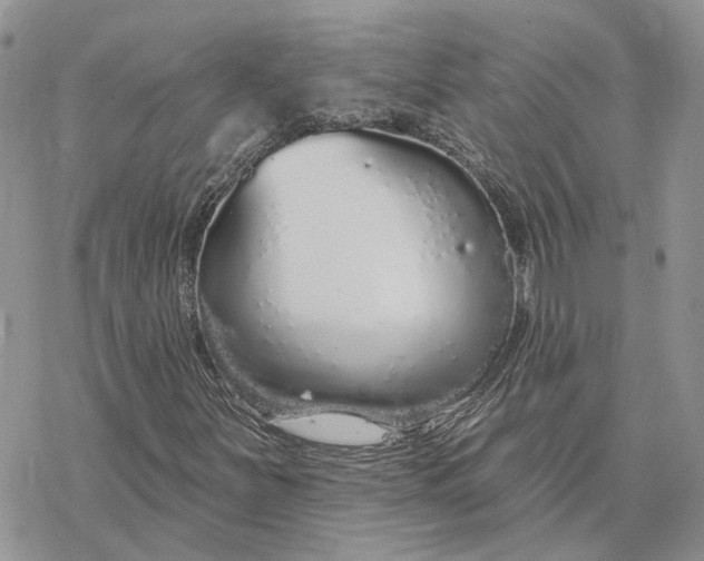 X0000078271251200611251345