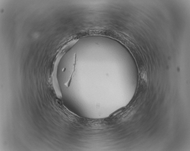 X0000078271252200611251345