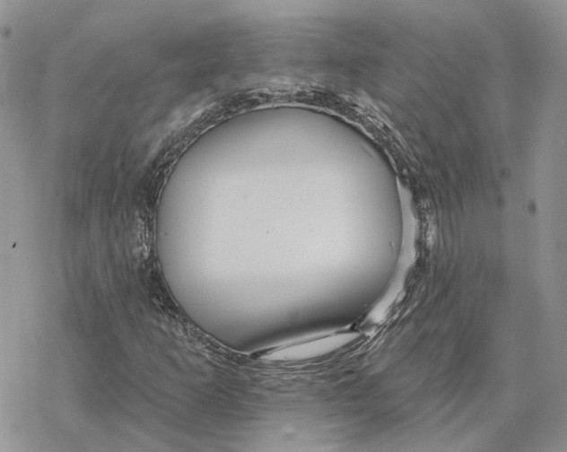 X0000078271253200611251345