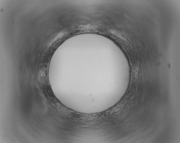 X0000078271254200611251345