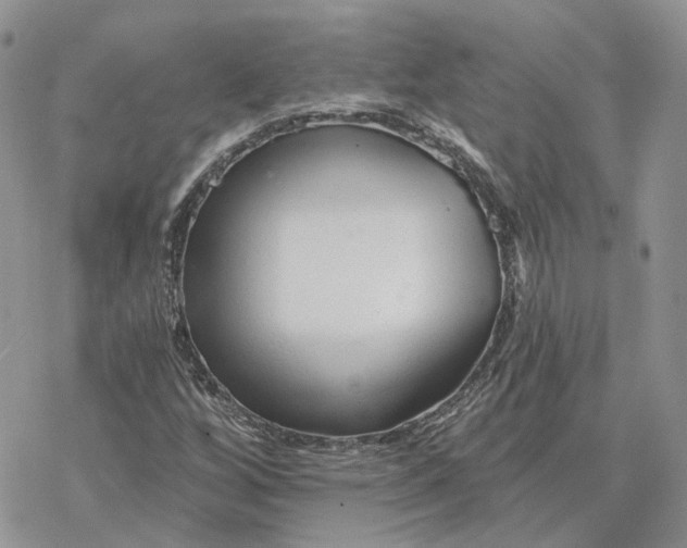 X0000078271256200611251344