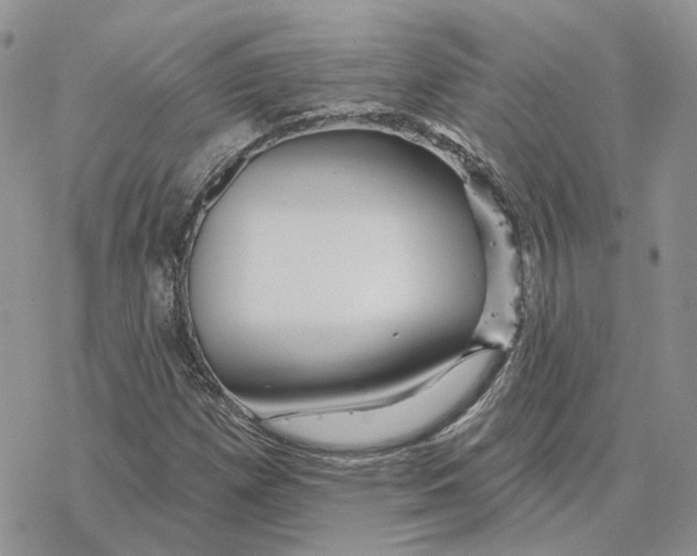 X0000078271257200611251344