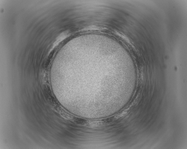 X0000078271258200611251344