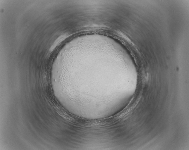 X0000078271259200611251344