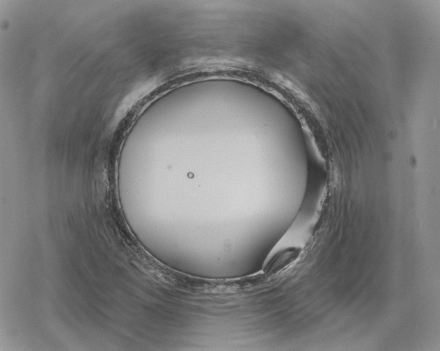 X0000078271261200611251344