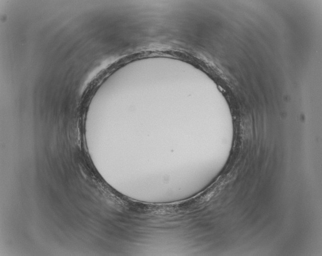 X0000078271262200611251344