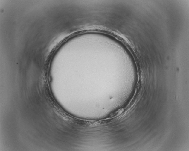 X0000078271263200611251344