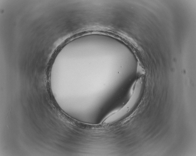 X0000078271264200611251344