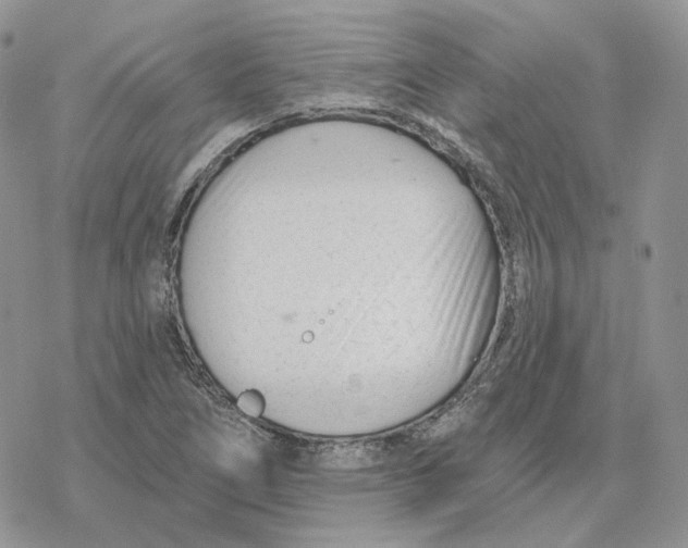 X0000078271266200611251344