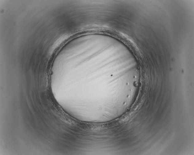 X0000078271267200611251344