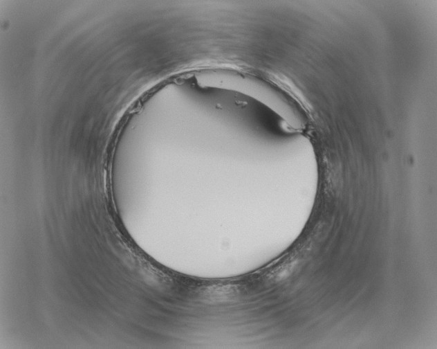 X0000078271268200611251344