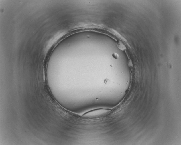 X0000078271269200611251344