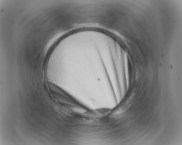 X0000078271271200611251344