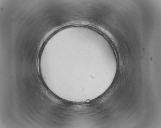 X0000078271272200611251344