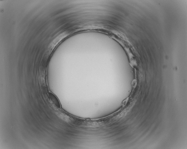 X0000078271273200611251344