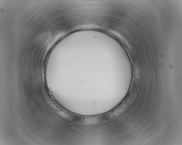 X0000078271274200611251344