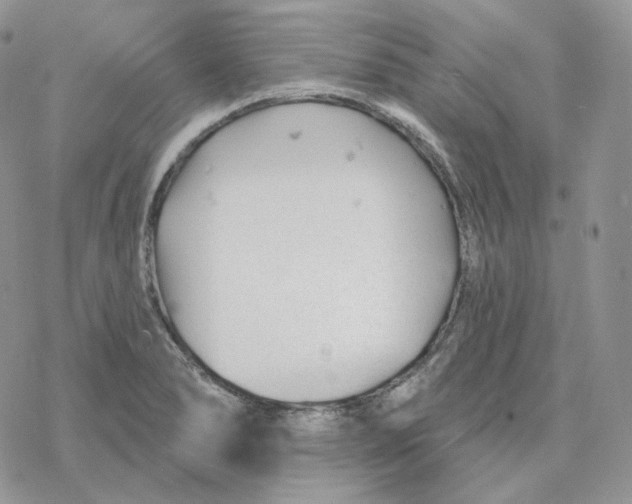 X0000078271278200611251344