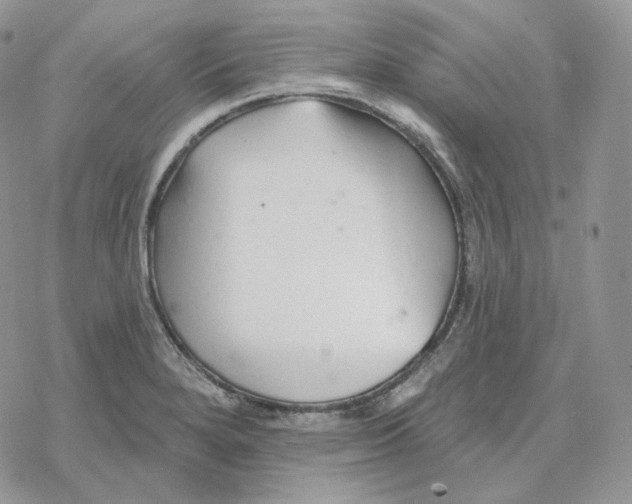 X0000078271280200611251344