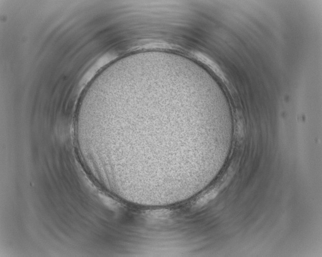 X0000078271282200611251344