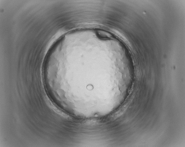 X0000078271283200611251344