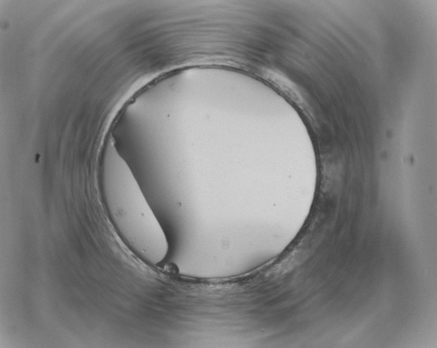 X0000078271284200611251344