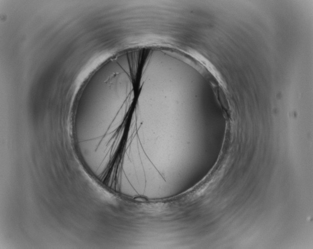 X0000078271285200611251344