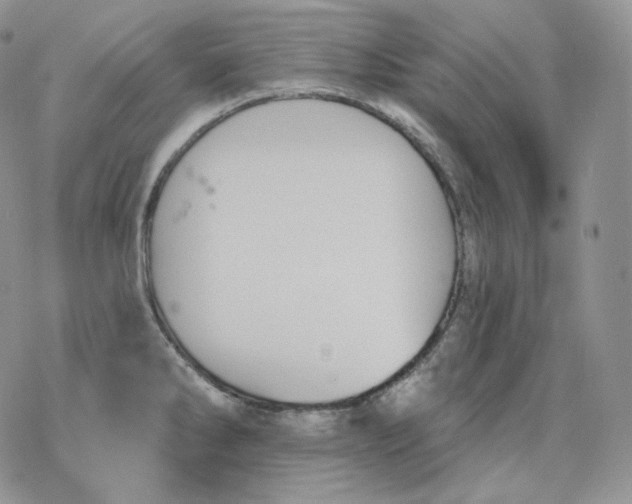 X0000078271286200611251344