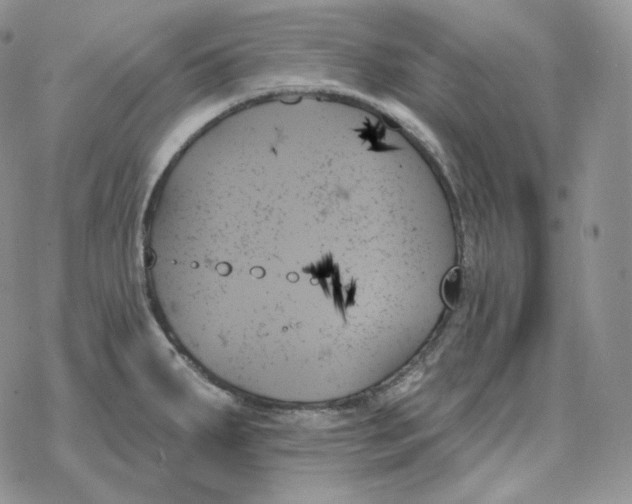 X0000078271287200611251344