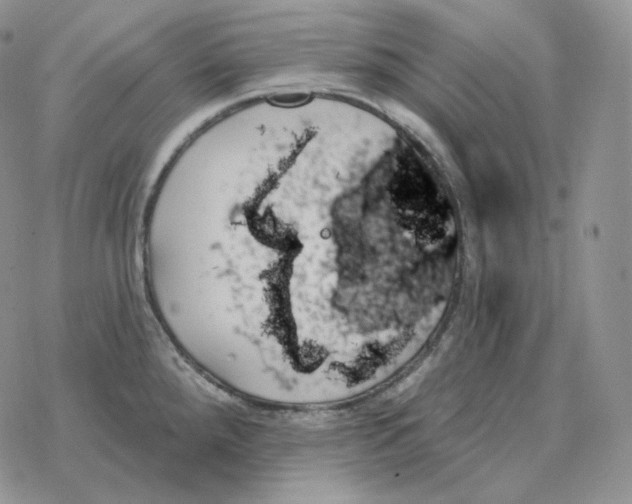 X0000078271288200611251344