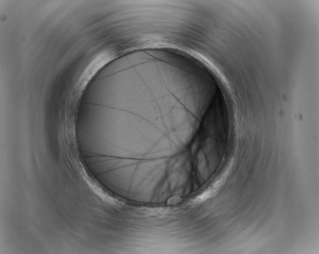 X0000078271289200611251344