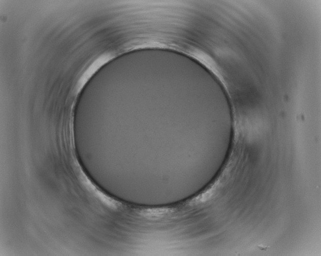 X0000078271290200611251344