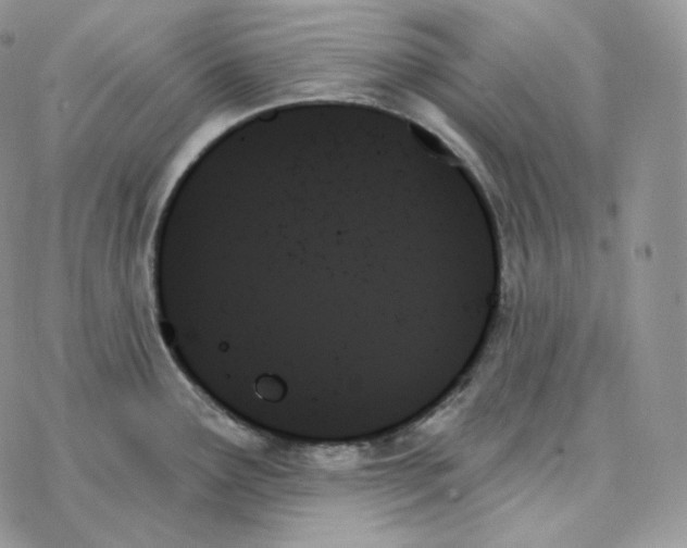 X0000078271291200611251344