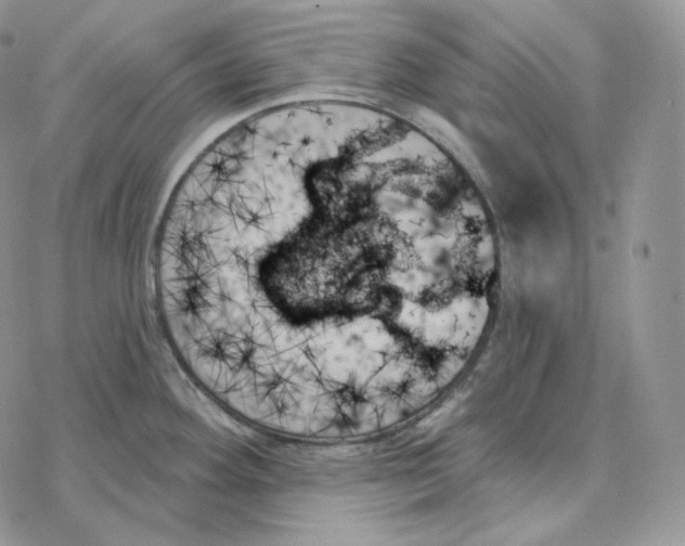 X0000078271292200611251344